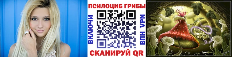 Псилоцибиновые грибы Magic Shrooms  купить наркотики сайты  Краснообск 